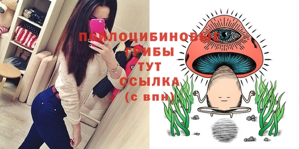 дмт Армянск