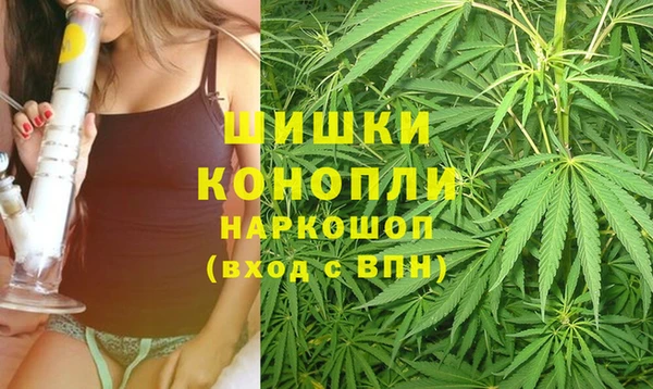 каннабис Арсеньев