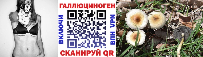 Галлюциногенные грибы MAGIC MUSHROOMS  блэк спрут зеркало  Приозерск 