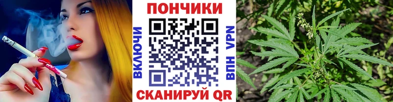 МАРИХУАНА сатива Приозерск