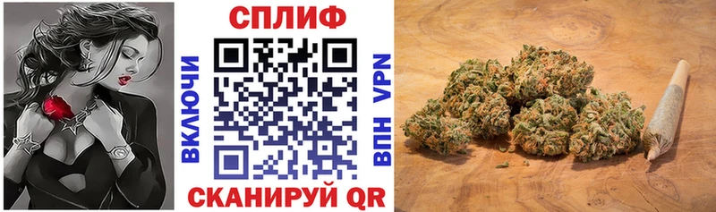 darknet официальный сайт  Приозерск  МАРИХУАНА THC 21%  где можно купить наркотик 